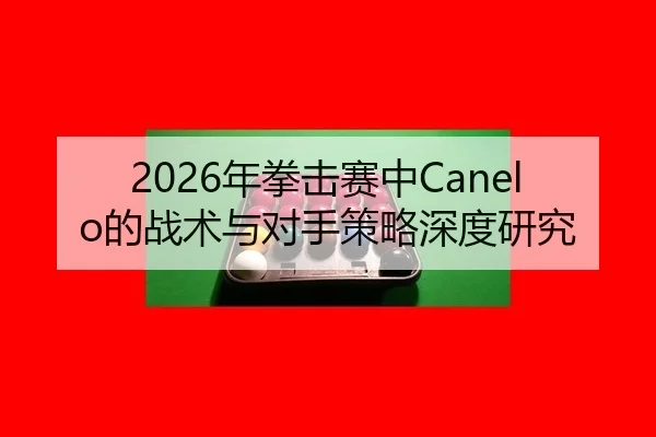 2026年拳击赛中Canelo的战术与对手策略深度研究