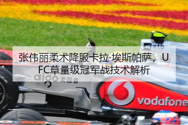 张伟丽柔术降服卡拉·埃斯帕萨，UFC草量级冠军战技术解析
