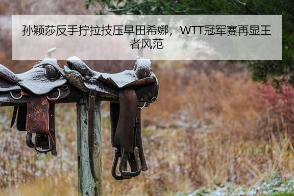 孙颖莎反手拧拉技压早田希娜，WTT冠军赛再显王者风范