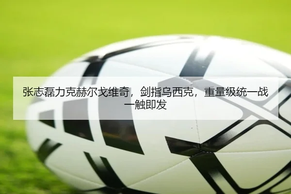 张志磊力克赫尔戈维奇，剑指乌西克，重量级统一战一触即发
