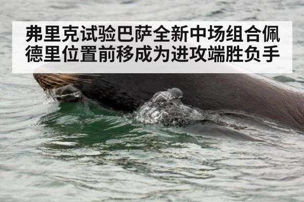 弗里克试验巴萨全新中场组合佩德里位置前移成为进攻端胜负手